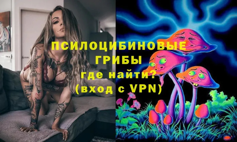 Псилоцибиновые грибы Cubensis  Жуков 